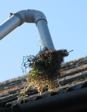 Gutters, one of a range of professional Cleaning services